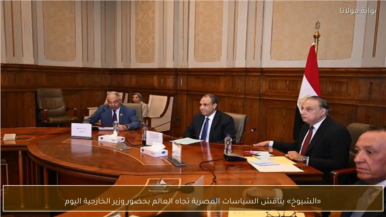 «الشيوخ» يناقش السياسات المصرية تجاه العالم بحضور وزير الخارجية اليوم