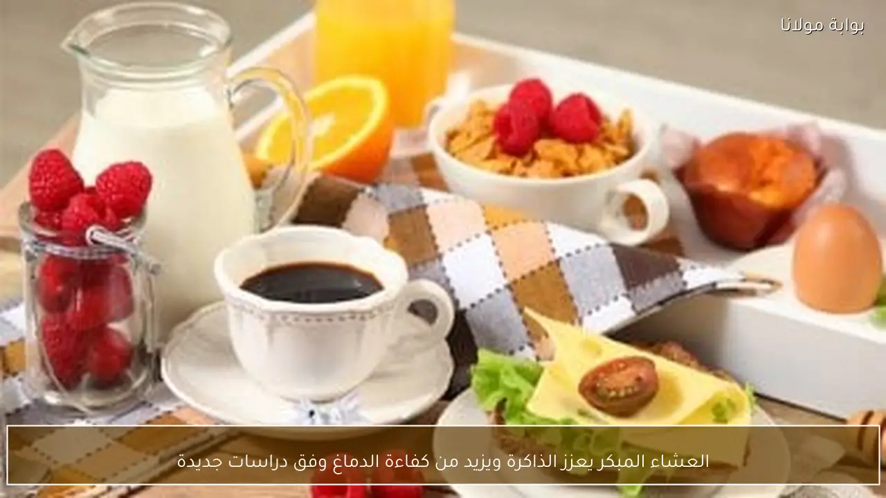 العشاء المبكر يعزز الذاكرة ويزيد من كفاءة الدماغ وفق دراسات جديدة