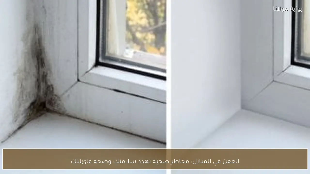 العفن في المنازل: مخاطر صحية تهدد سلامتك وصحة عائلتك