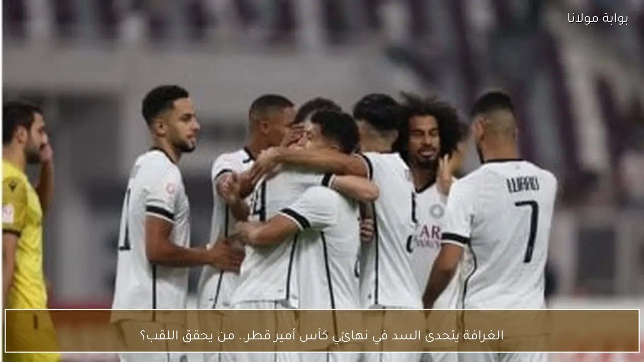 الغرافة يتحدى السد في نهائي كأس أمير قطر.. من يحقق اللقب؟