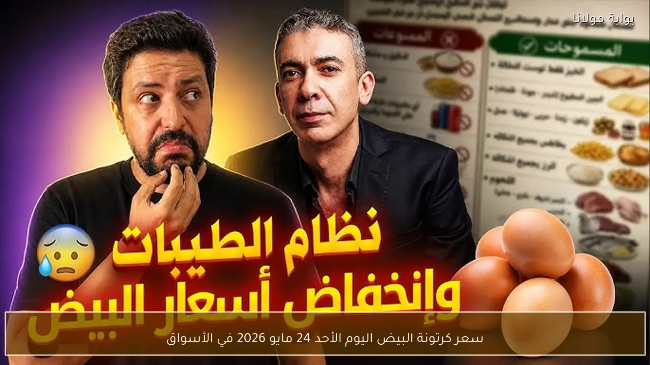 سعر كرتونة البيض اليوم الأحد 24 مايو 2026 في الأسواق