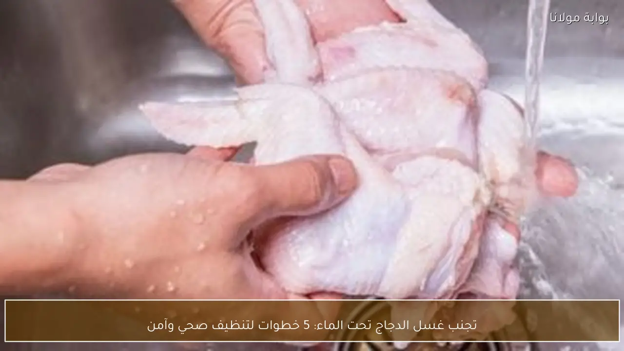 تجنب غسل الدجاج تحت الماء: 5 خطوات لتنظيف صحي وآمن