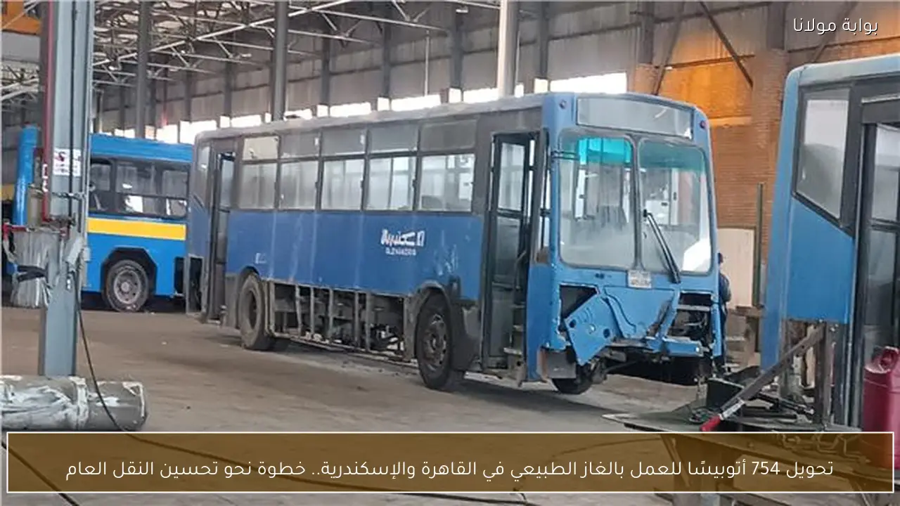 تحويل 754 أتوبيسًا للعمل بالغاز الطبيعي في القاهرة والإسكندرية.. خطوة نحو تحسين النقل العام