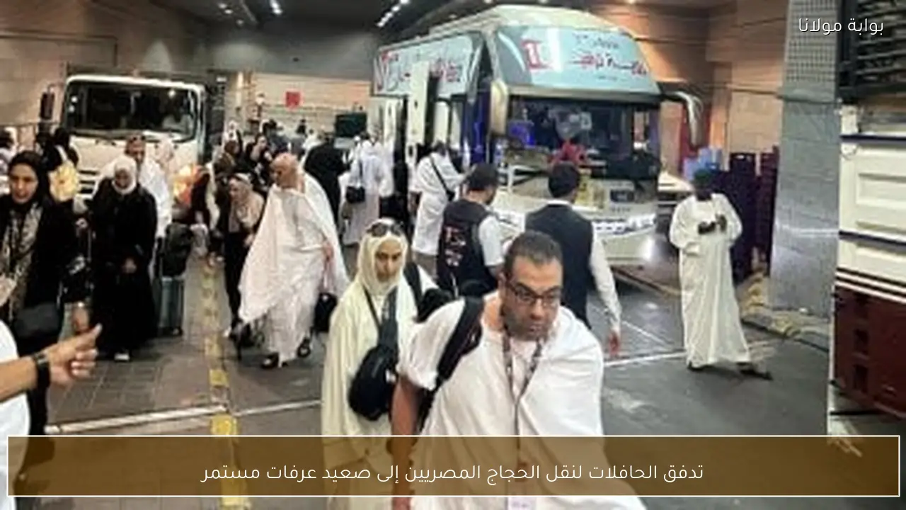 تدفق الحافلات لنقل الحجاج المصريين إلى صعيد عرفات مستمر