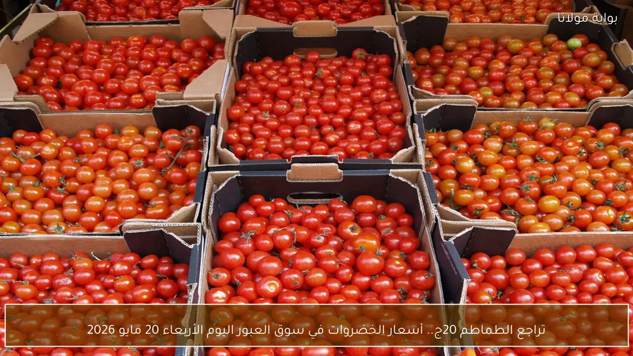 تراجع الطماطم 20ج.. أسعار الخضروات في سوق العبور اليوم الأربعاء 20 مايو 2026