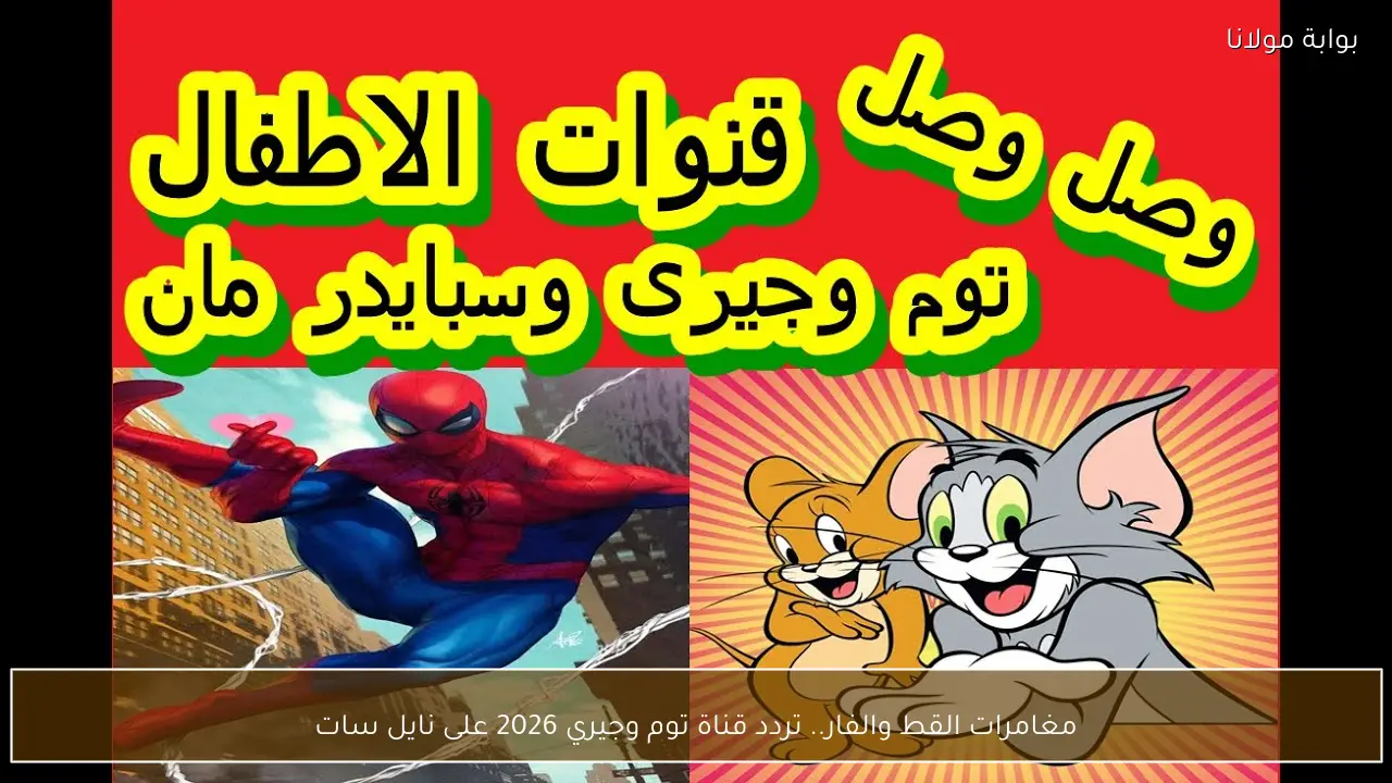 مغامرات القط والفار.. تردد قناة توم وجيري 2026 على نايل سات