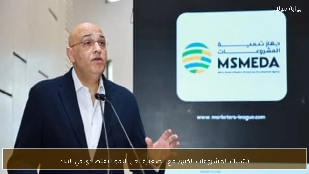 تشبيك المشروعات الكبرى مع الصغيرة يعزز النمو الاقتصادي في البلاد