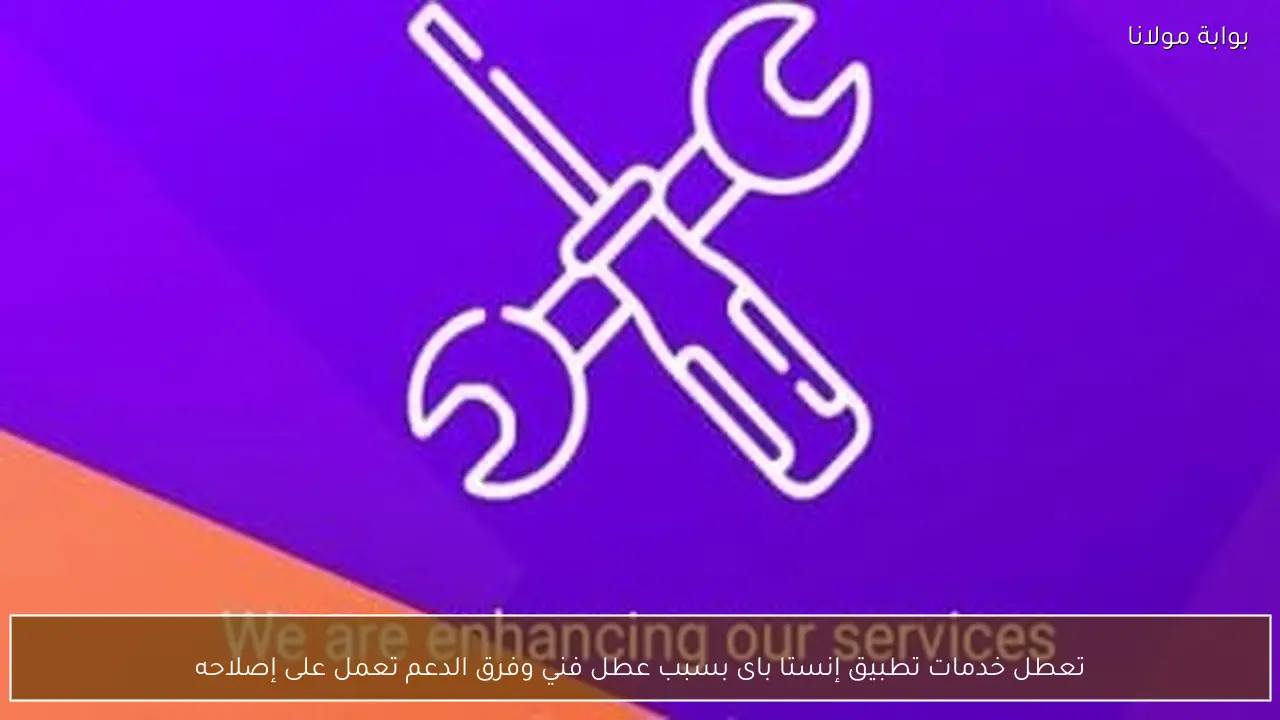 تعطل خدمات تطبيق إنستا باى بسبب عطل فني وفرق الدعم تعمل على إصلاحه