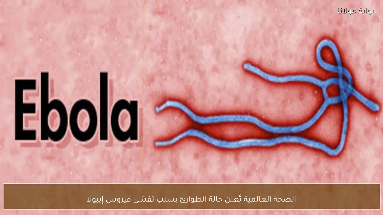 الصحة العالمية تُعلن حالة الطوارئ بسبب تفشى فيروس إيبولا