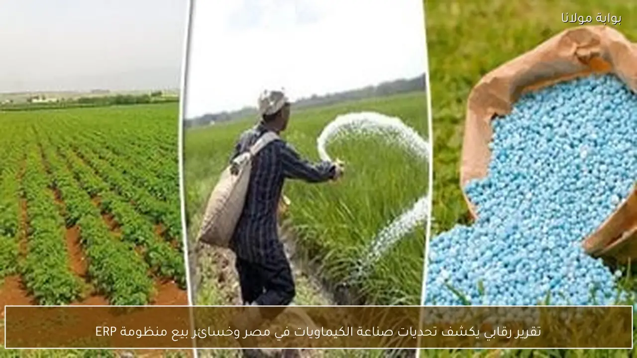 تقرير رقابي يكشف تحديات صناعة الكيماويات في مصر وخسائر بيع منظومة ERP