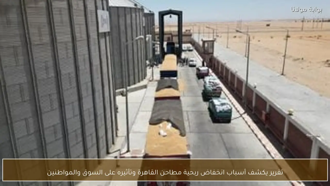 تقرير يكشف أسباب انخفاض ربحية مطاحن القاهرة وتأثيره على السوق والمواطنين