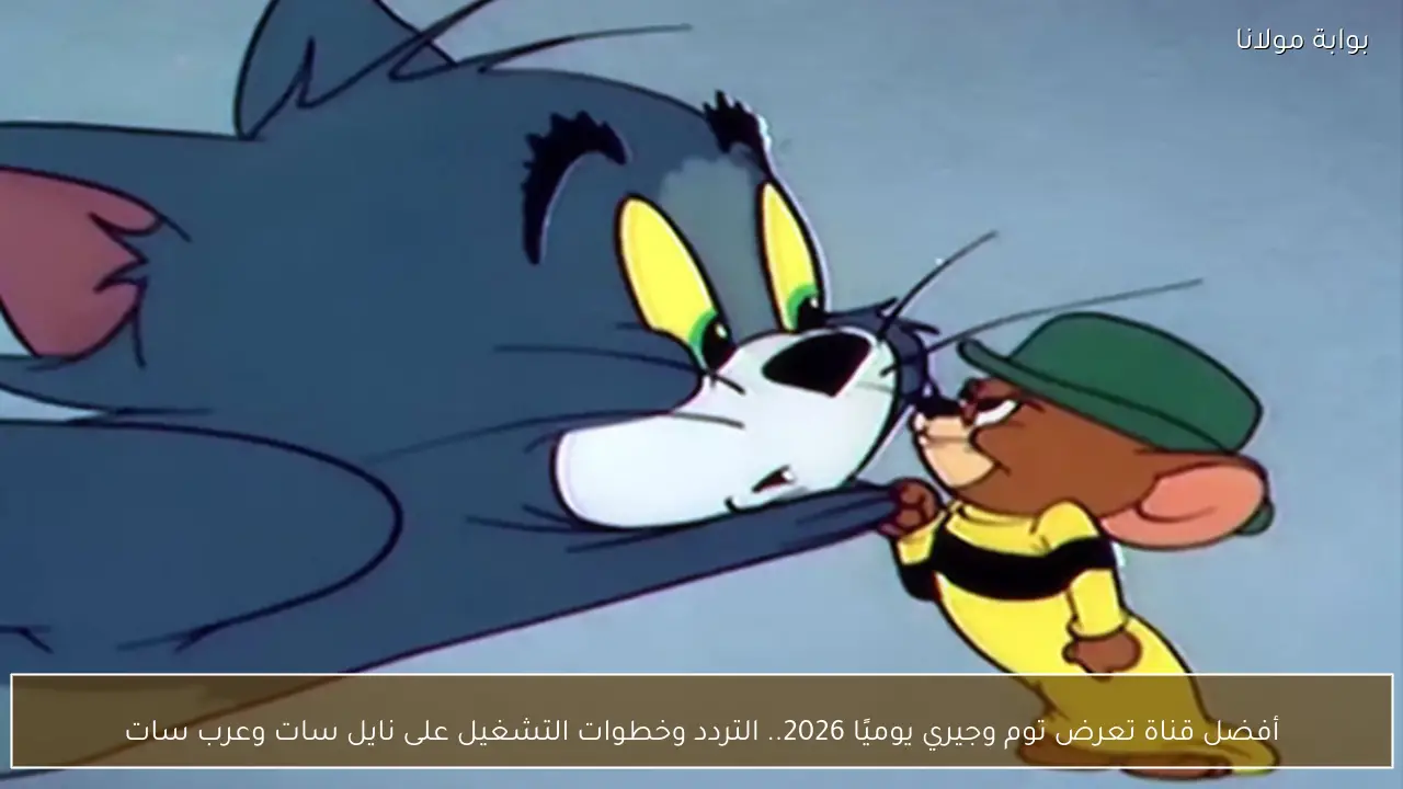 أفضل قناة تعرض توم وجيري يوميًا 2026.. التردد وخطوات التشغيل على نايل سات وعرب سات