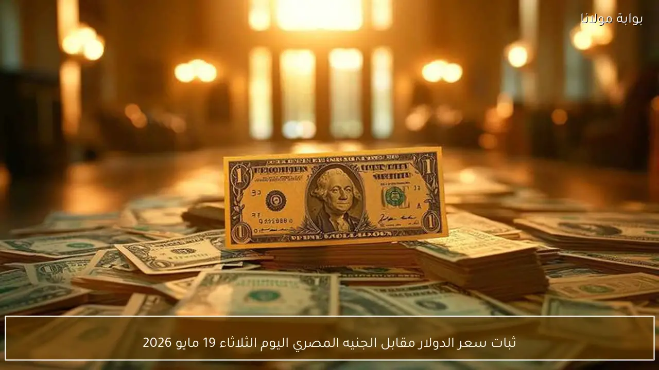 ثبات سعر الدولار مقابل الجنيه المصري اليوم الثلاثاء 19 مايو 2026
