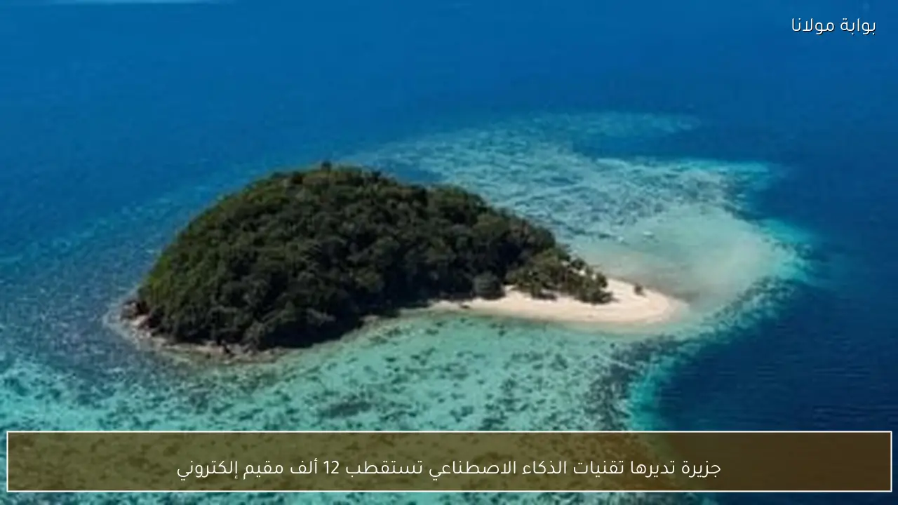 جزيرة تديرها تقنيات الذكاء الاصطناعي تستقطب 12 ألف مقيم إلكتروني