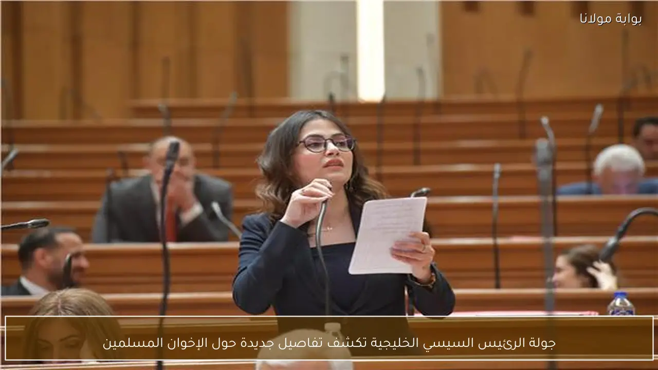جولة الرئيس السيسي الخليجية تكشف تفاصيل جديدة حول الإخوان المسلمين