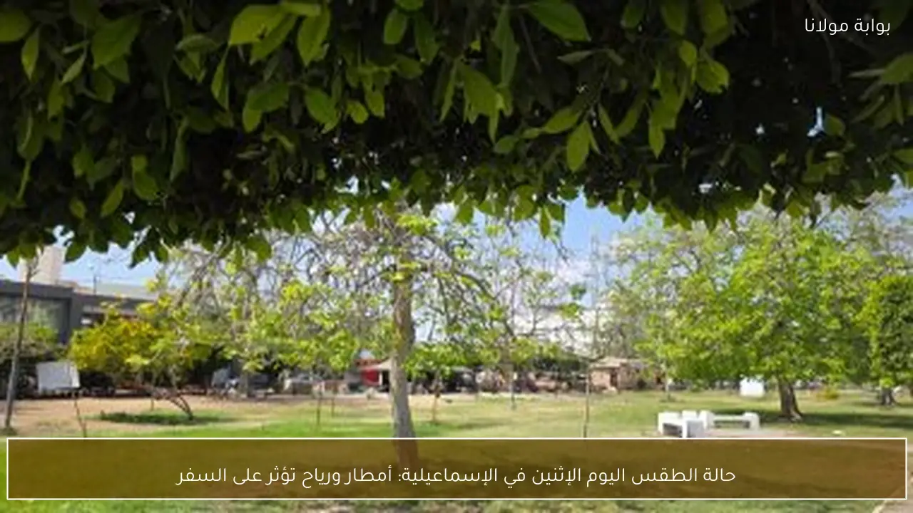 حالة الطقس اليوم الإثنين في الإسماعيلية: أمطار ورياح تؤثر على السفر