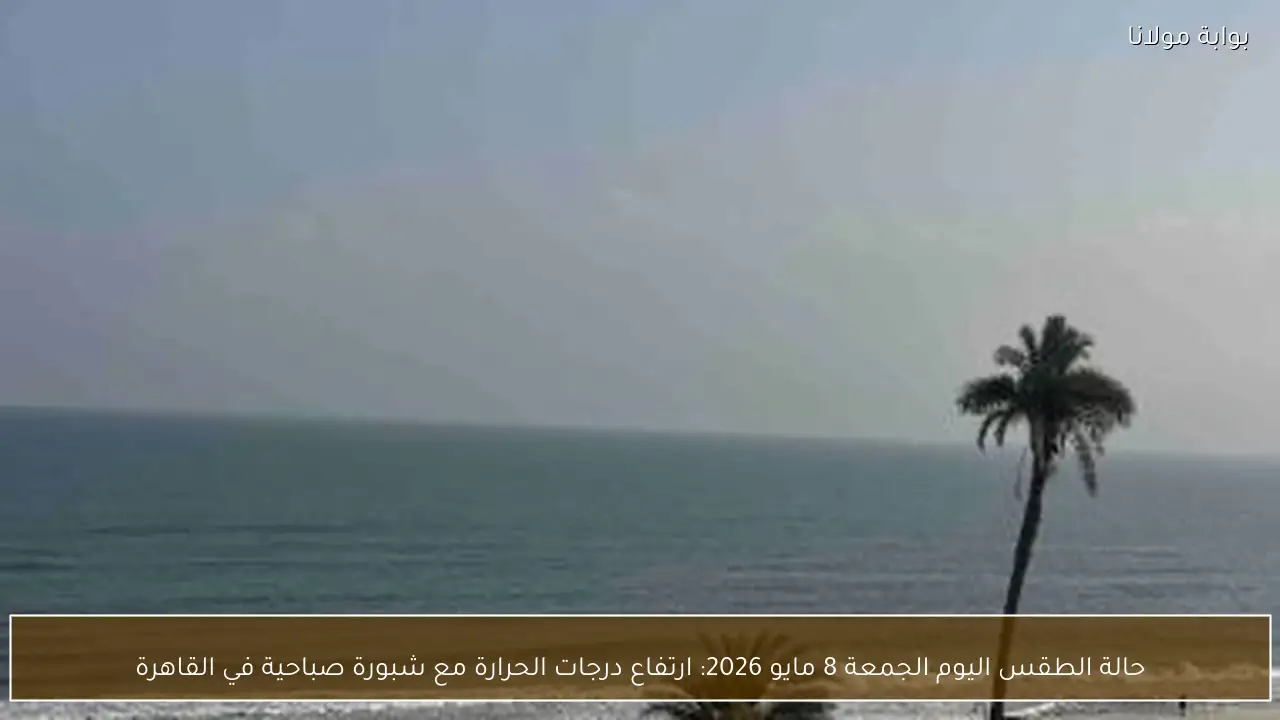 ارتفاع الحرارة يضرب المحافظات اليوم.. شبورة صباحية وتحذيرات للمسافرين في القاهرة