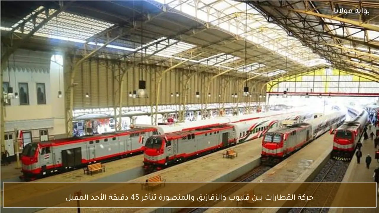 حركة القطارات بين قليوب والزقازيق والمنصورة تتأخر 45 دقيقة الأحد المقبل