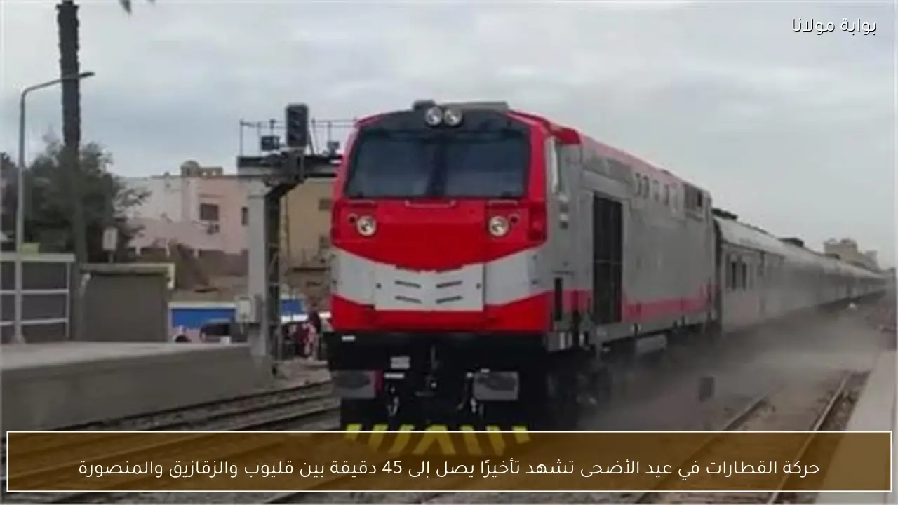 حركة القطارات في عيد الأضحى تشهد تأخيرًا يصل إلى 45 دقيقة بين قليوب والزقازيق والمنصورة