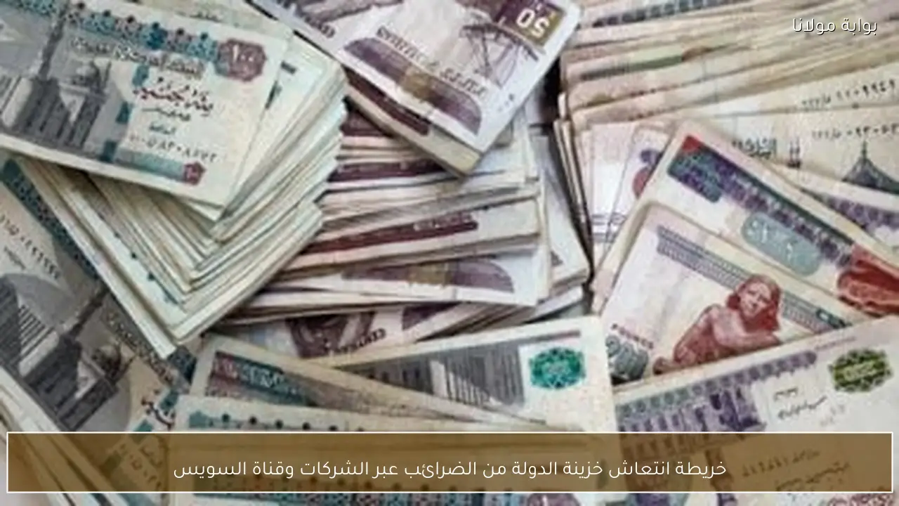 خريطة انتعاش خزينة الدولة من الضرائب عبر الشركات وقناة السويس