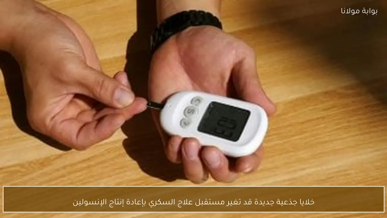 خلايا جذعية جديدة قد تغير مستقبل علاج السكري بإعادة إنتاج الإنسولين