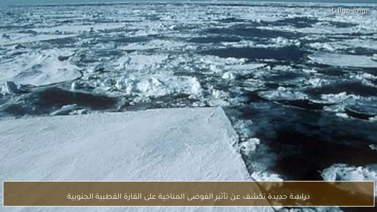 دراسة جديدة تكشف عن تأثير الفوضى المناخية على القارة القطبية الجنوبية
