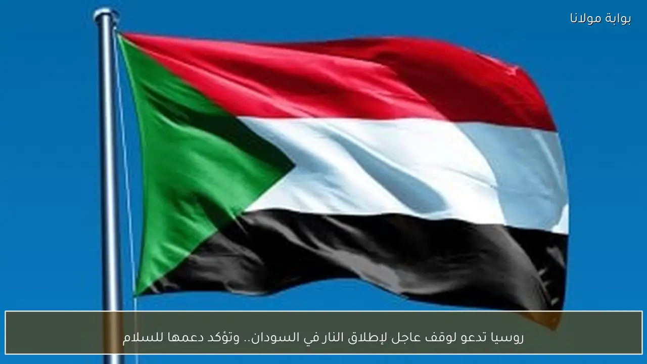 روسيا تدعو لوقف عاجل لإطلاق النار في السودان.. وتؤكد دعمها للسلام