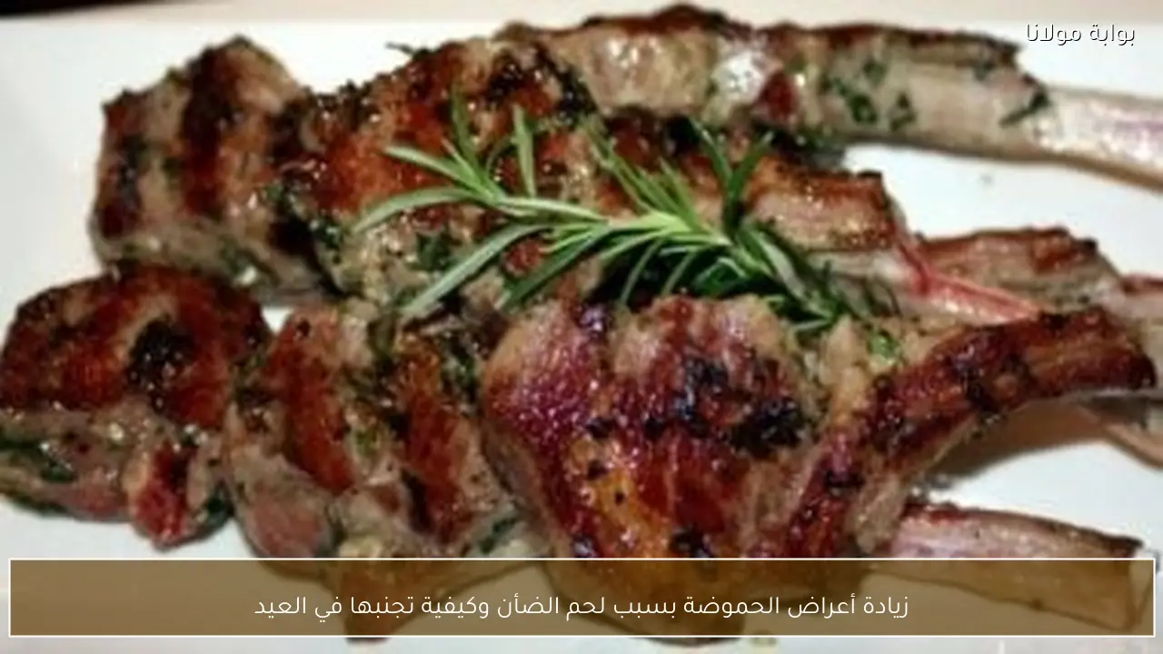 زيادة أعراض الحموضة بسبب لحم الضأن وكيفية تجنبها في العيد