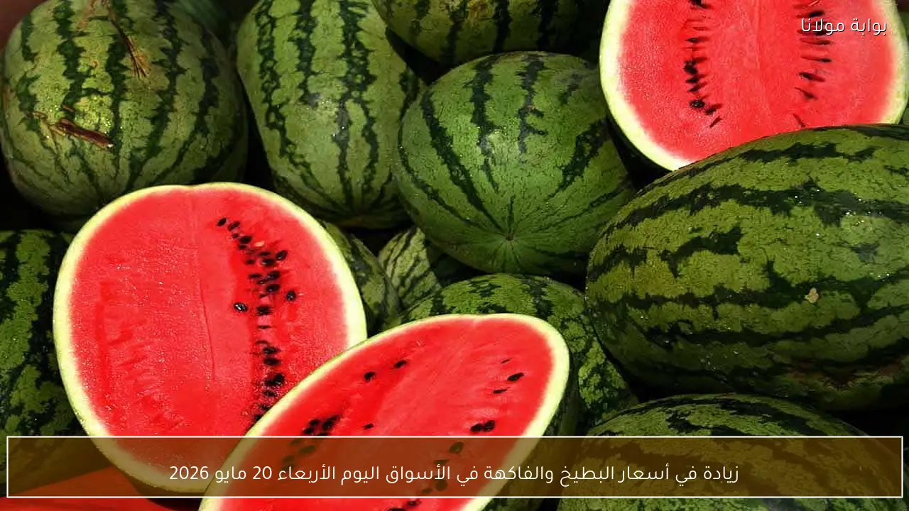زيادة في أسعار البطيخ والفاكهة في الأسواق اليوم الأربعاء 20 مايو 2026