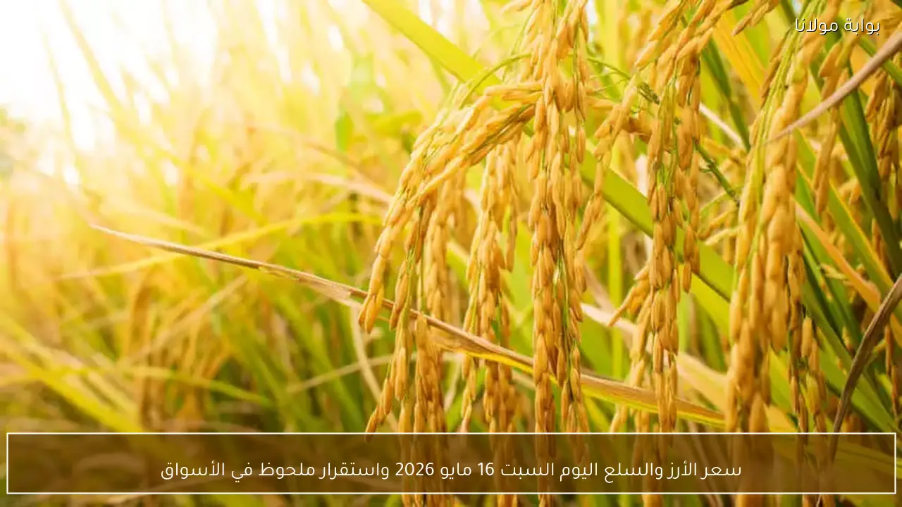 سعر الأرز الأبيض والشعير والسلع اليوم السبت 16 مايو 2026 في الأسواق