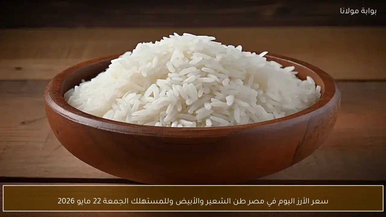 سعر الأرز اليوم في مصر طن الشعير والأبيض وللمستهلك الجمعة 22 مايو 2026