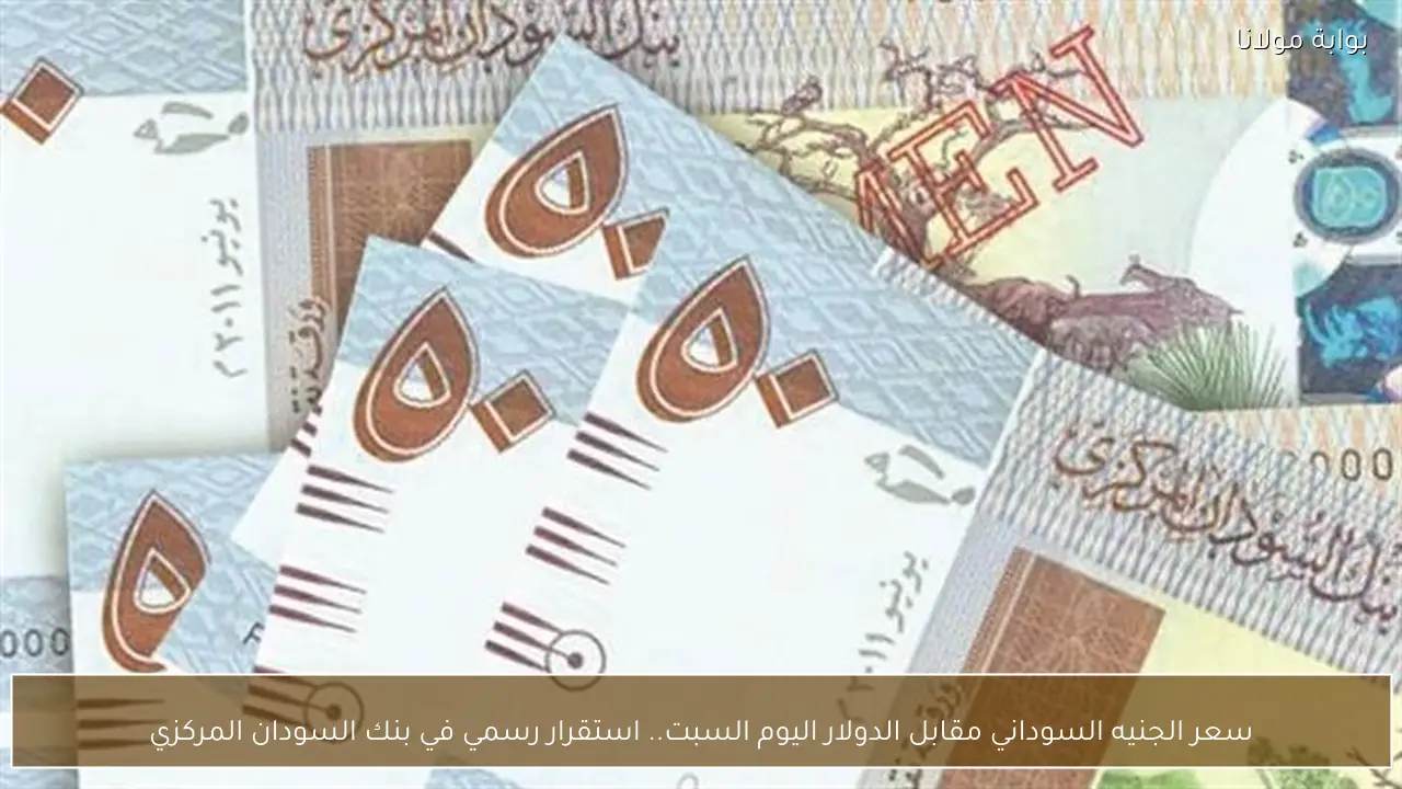 سعر الجنيه السوداني مقابل الدولار اليوم السبت.. استقرار رسمي في بنك السودان المركزي