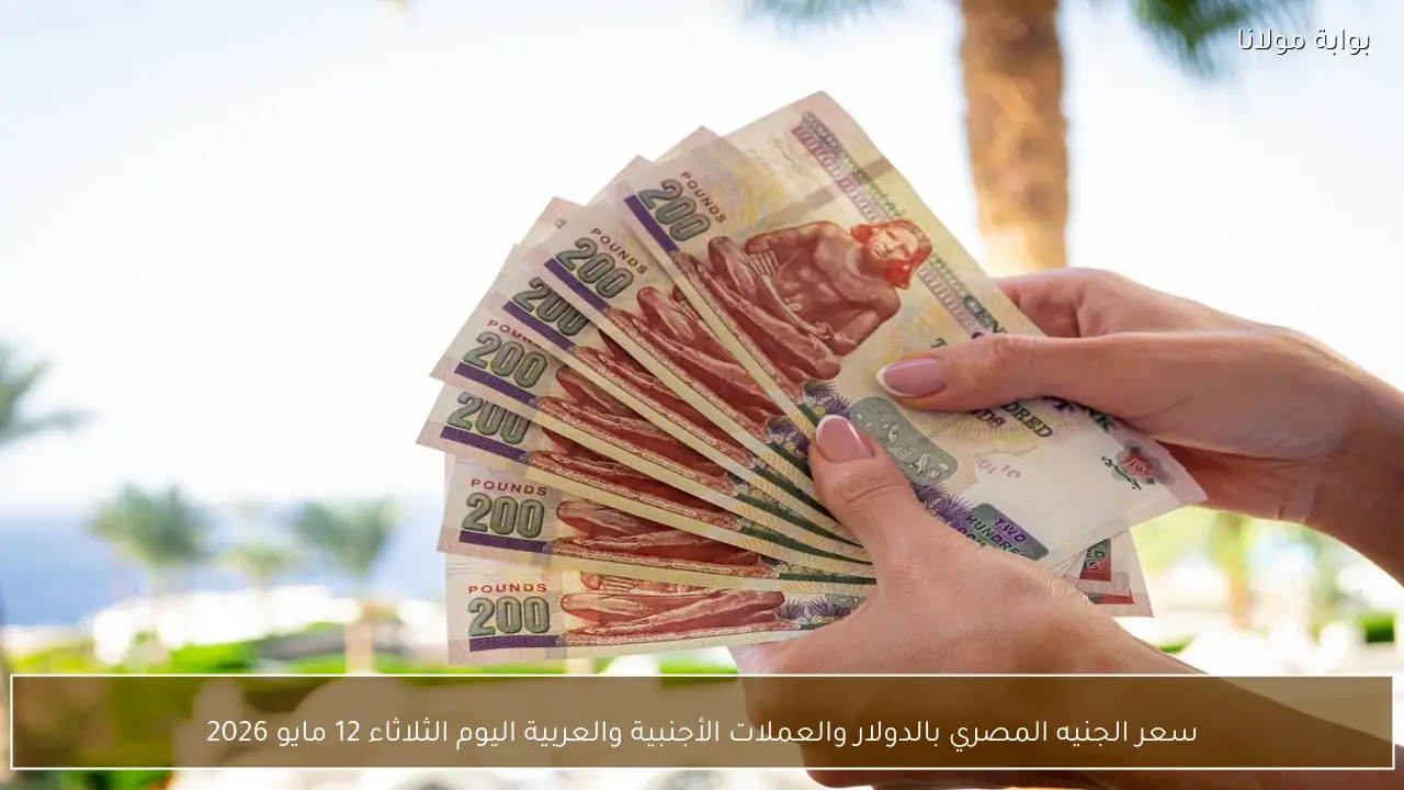 سعر الجنيه المصري بالدولار والعملات الأجنبية والعربية اليوم الثلاثاء 12 مايو 2026