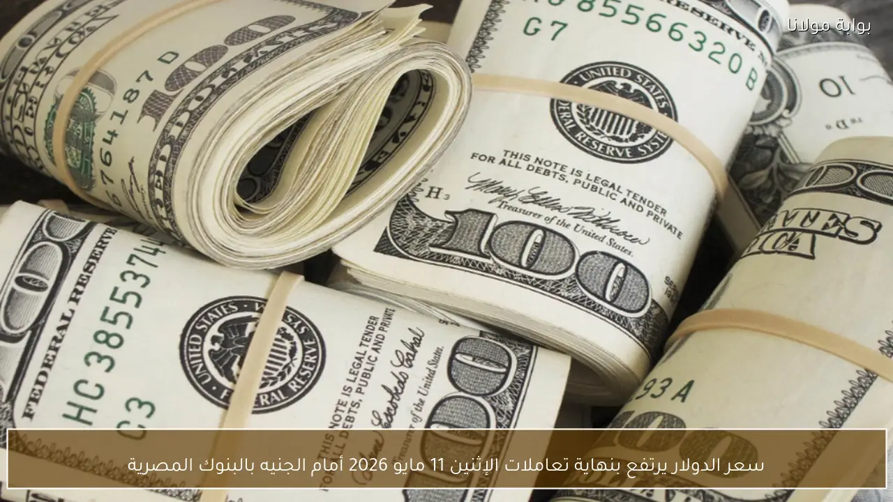 سعر الدولار يرتفع بنهاية تعاملات الإثنين 11 مايو 2026 أمام الجنيه بالبنوك المصرية