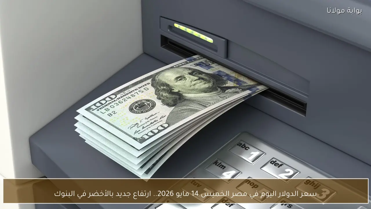 سعر الدولار اليوم في مصر الخميس 14 مايو 2026.. ارتفاع جديد بالأخضر في البنوك