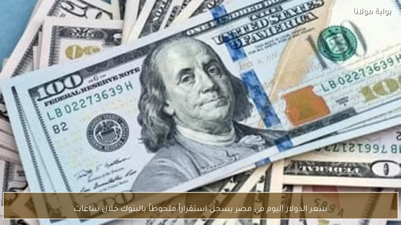 سعر الدولار اليوم في مصر يسجل استقراراً ملحوظاً بالبنوك خلال ساعات