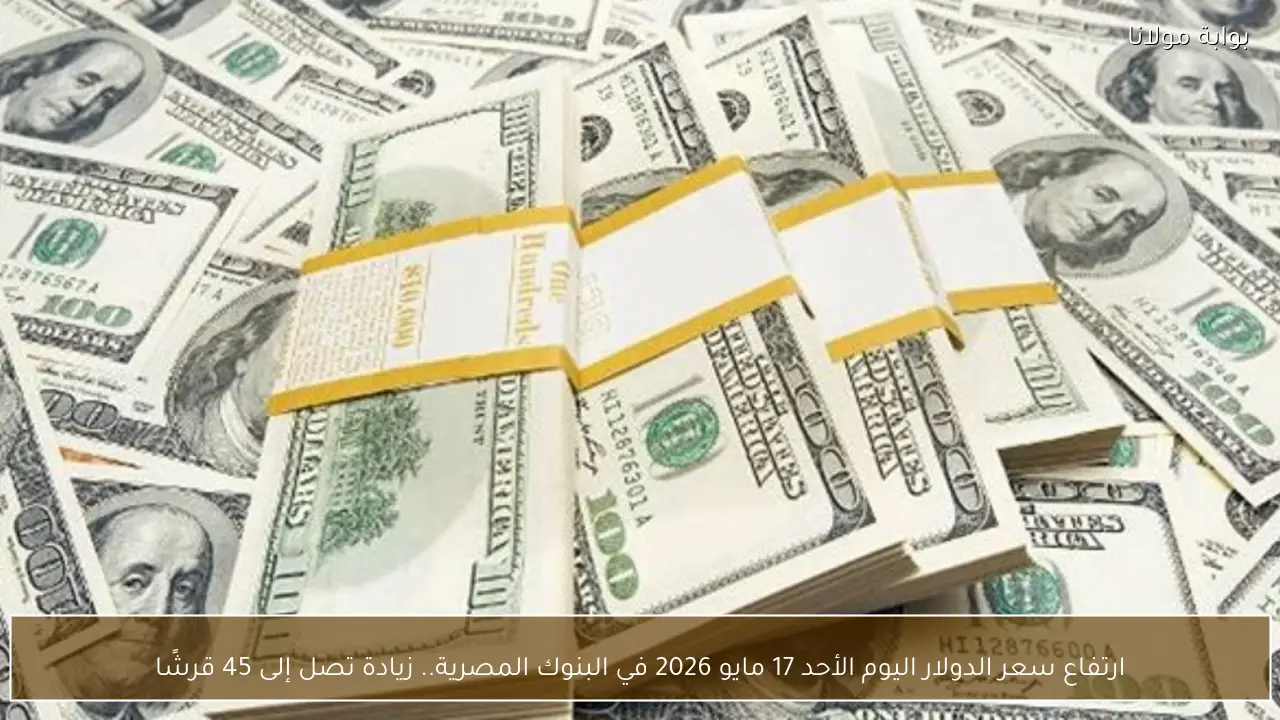ارتفاع سعر الدولار اليوم الأحد 17 مايو 2026 في البنوك المصرية.. زيادة تصل إلى 45 قرشًا