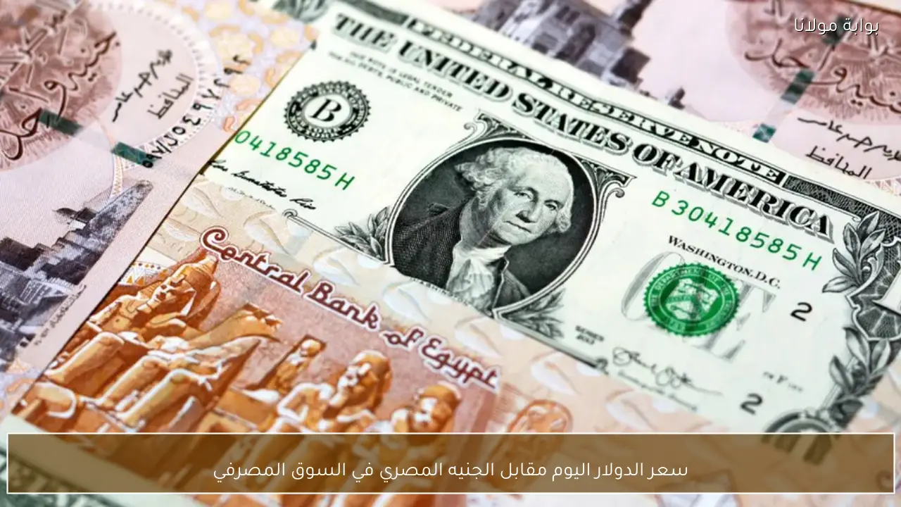 سعر الدولار اليوم مقابل الجنيه المصري في السوق المصرفي