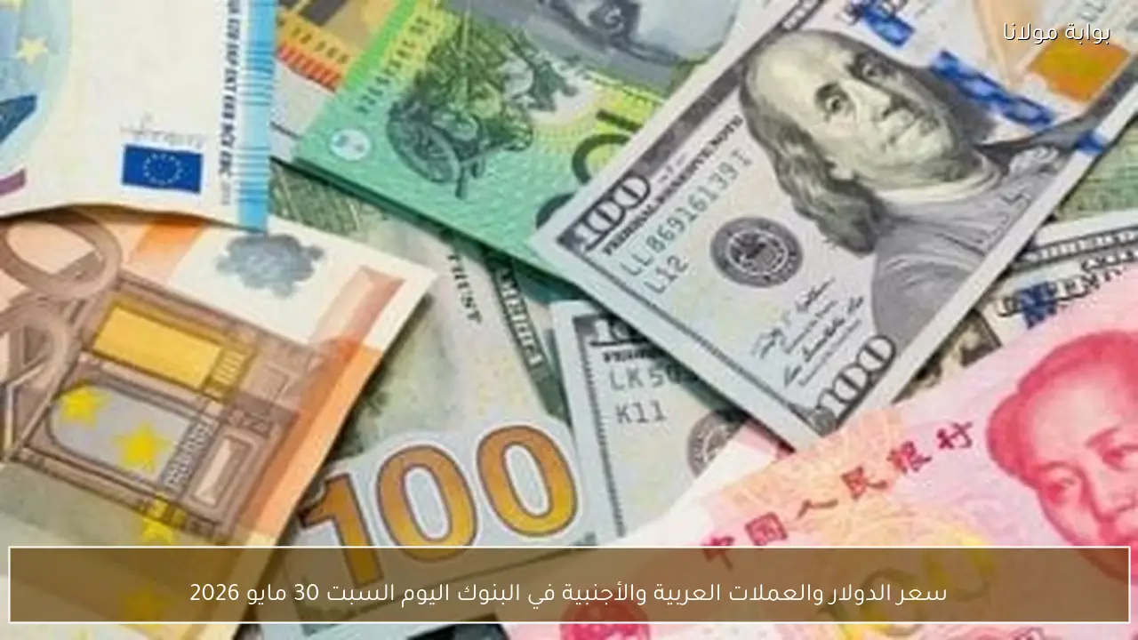سعر الدولار والعملات العربية والأجنبية في البنوك اليوم السبت 30 مايو 2026