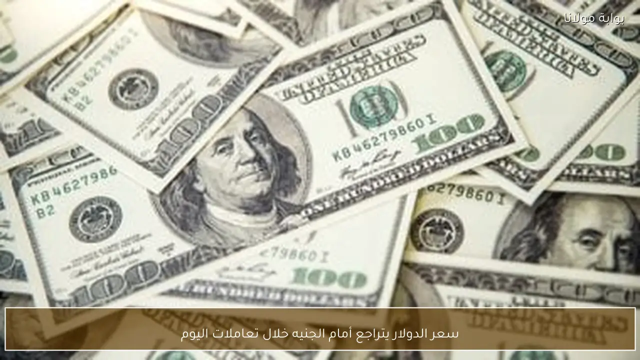 تراجع مفاجئ في سعر الدولار اليوم أمام الجنيه داخل البنوك المصرية