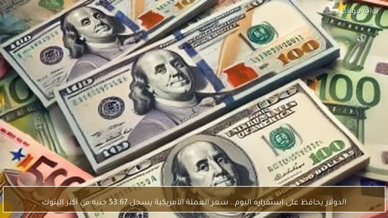 الدولار يحافظ على استقراره اليوم.. سعر العملة الأمريكية يسجل 53.67 جنيه في أكبر البنوك
