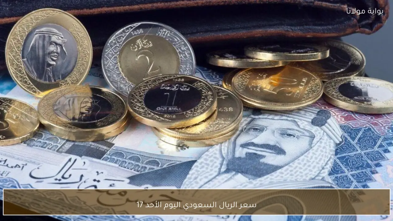 سعر الريال السعودي اليوم الأحد 17 مايو 2026 في البنوك المصرية مقابل الجنيه
