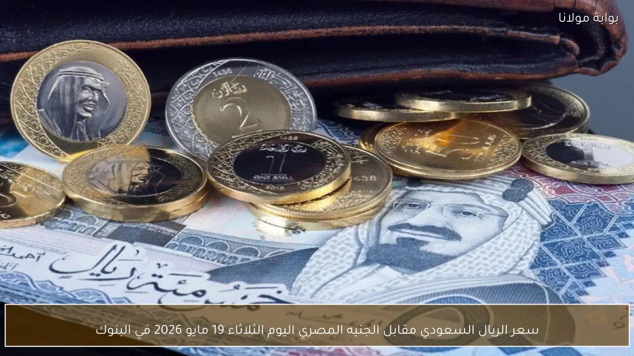 سعر الريال السعودي مقابل الجنيه المصري اليوم الثلاثاء 19 مايو 2026 في البنوك