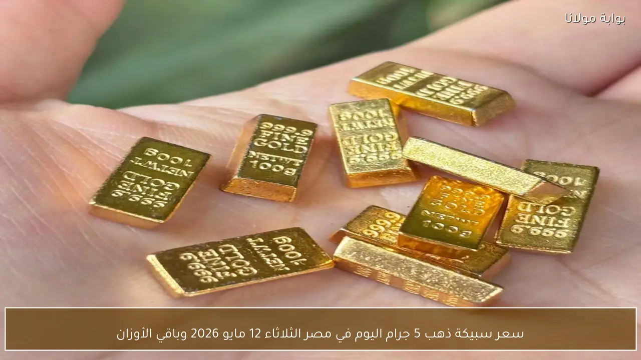 سعر سبيكة ذهب 5 جرام اليوم في مصر الثلاثاء 12 مايو 2026 وباقي الأوزان