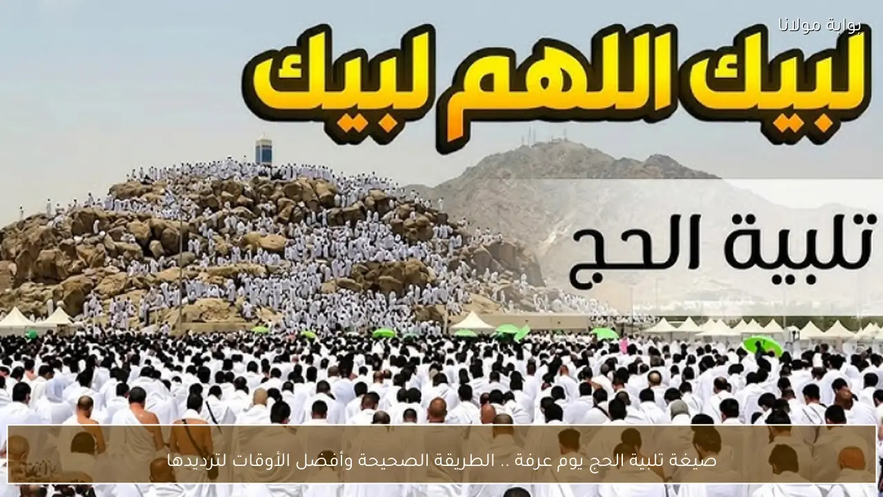 صيغة تلبية الحج يوم عرفة .. الطريقة الصحيحة وأفضل الأوقات لترديدها