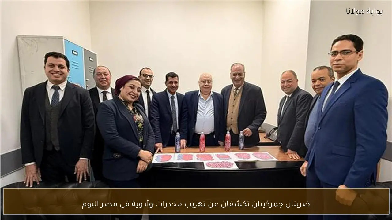 ضربتان جمركيتان تكشفان عن تهريب مخدرات وأدوية في مصر اليوم