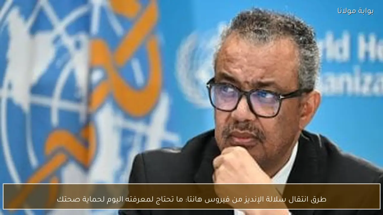 طرق انتقال سلالة الإنديز من فيروس هانتا: ما تحتاج لمعرفته اليوم لحماية صحتك