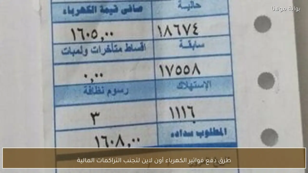 طرق دفع فواتير الكهرباء أون لاين لتجنب التراكمات المالية