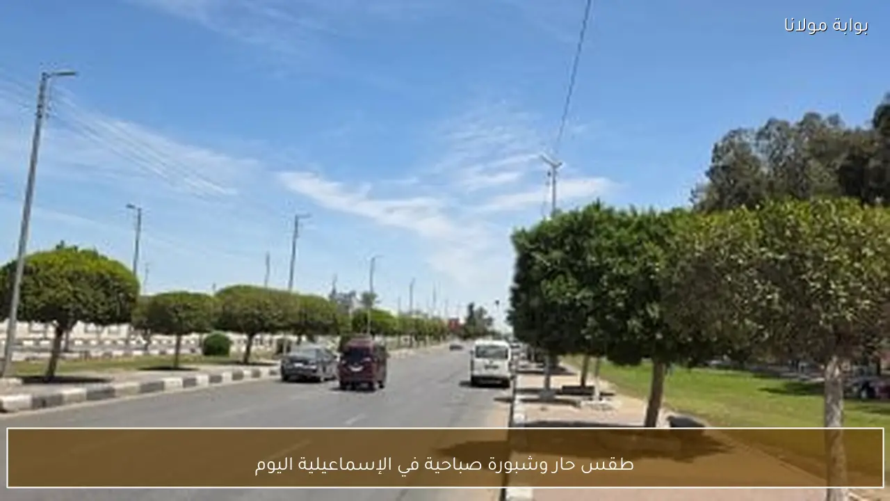 طقس حار وشبورة صباحية في الإسماعيلية اليوم