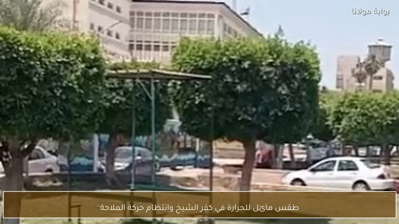 طقس مائل للحرارة في كفر الشيخ وانتظام حركة الملاحة